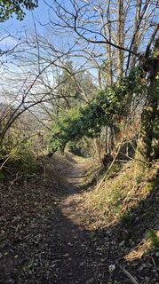 Fotografia z Yvonne Karcher na trase