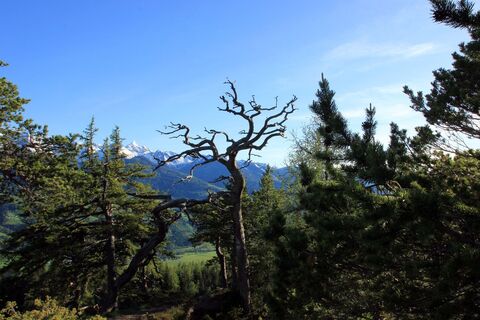 Blick vom Freienstein