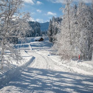 Präparierter Winterwanderweg zum Bergrestaurant Wolzenalp