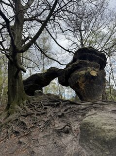 Fotografie z Andreas Luedemann na trase