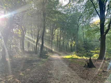 Photo de Marleen Blomsma le long du parcours