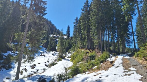 Foto de Alex a lo largo del recorrido