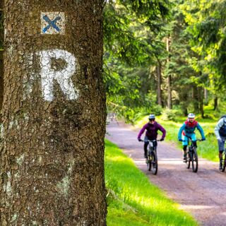 Mountainbiker am Rennsteig