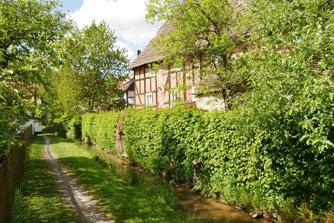 Mühlengraben in Bellersen