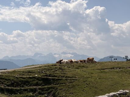 Foto von Irene Thorwartl entlang der Tour
