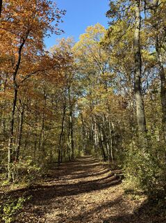 Foto de Robert Kremlicka a lo largo del recorrido