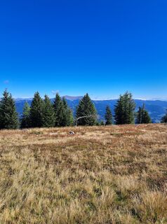 Fotografia z Peter Orasche na trase