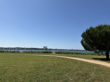 Zdjęcie z firebird 93 wzdłuż trasy