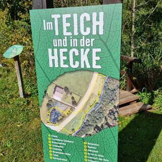 Biodiversität im Naturpark Mürzer Oberland