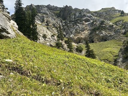 Foto från Karl Heinz Fick under resans gång