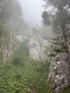 Zdjęcie z Aurelian Böhler wzdłuż trasy