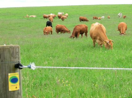 Tierische Zuschauer auf der Wandertour 2 Bäche-Pfad