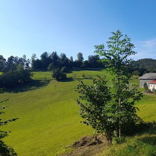 Fotografija s spletne strani Claudia Oberauer na poti