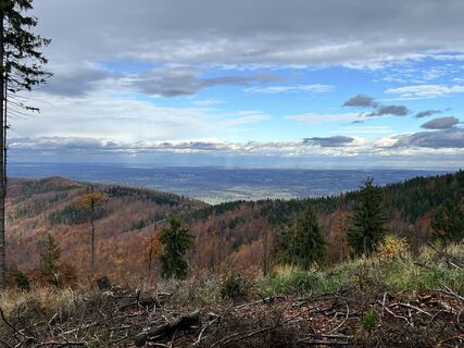 Fotografia z LUKÁŠ DWOROK na trase