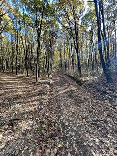 Fotografija s spletne strani János Pásztor 2 na poti