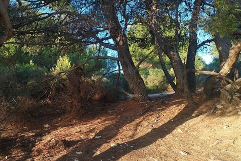 Photo de Christiane Tillian le long du parcours