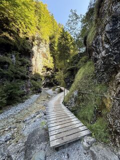 Fotografie de la Philipp Rößler de-a lungul turului