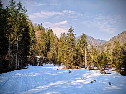 Foto von Michi Steiert entlang der Tour