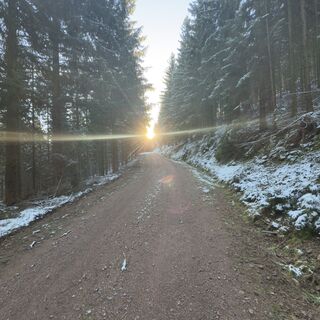 Foto von Steffen Kiesel entlang der Tour