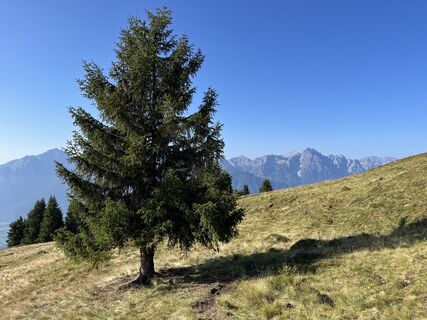 Fotografija s spletne strani Sebastian S. na poti