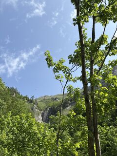 Fotó a Mandy Friedrich 1 honlapról a túra során