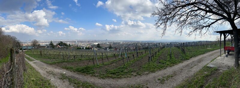 Фото с сайта Johann Bonner во время экскурсии