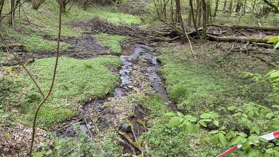 Foto von hob2020 entlang der Tour