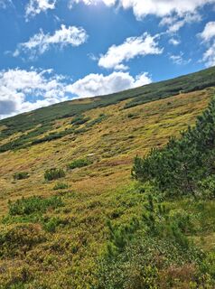 Foto fra Andi Je. undervejs på turen