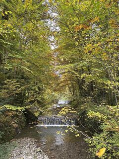Photo de Heinz Sperl le long du parcours