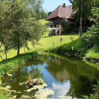 Bauernhof mit Brandweiher auf der Wanglig