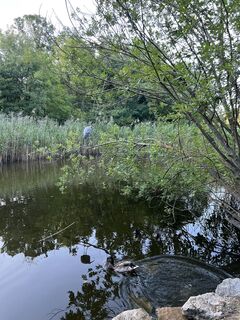 Fotografia z Gali Mikhnyova na trase