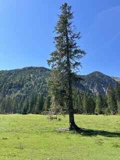 Foto von Jakob Haid entlang der Tour