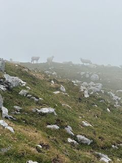 Foto de Jeroen Nijveld a lo largo del recorrido