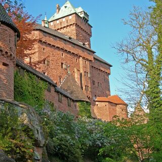 Château du Haut-Koenigsbourg