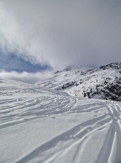 Photo de Michael Forstner le long du parcours