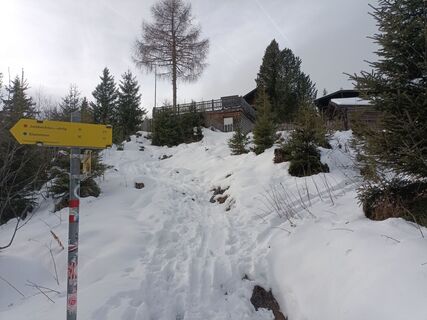 Photo de Harald Bäck le long du parcours