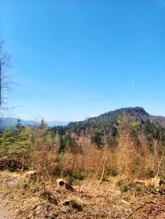 Fotografija s spletne strani Franz G. na poti