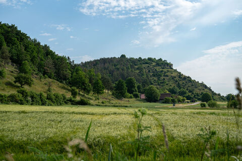 Blick auf den Eicherberg bei Kallmünz