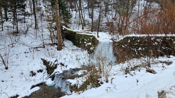 Photo de EP87 le long du parcours