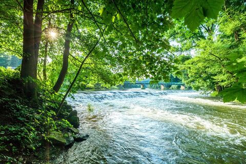 Grenzbrücke von Österreich und Tschechien im Nationalpark