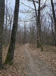 Fotografia z Markus Ortner na trase