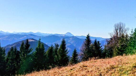 Fotografia z Manfred Steinböck na trase