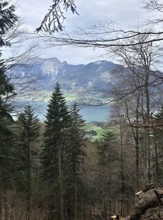 Foto von Anita Jäckel-Schwarz entlang der Tour