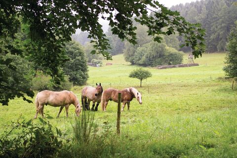 Erzquellweg