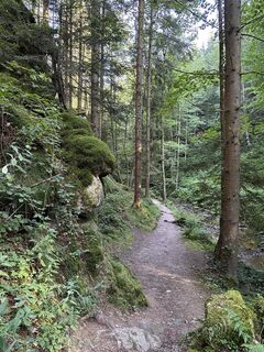 Foto von Babs Holz entlang der Tour