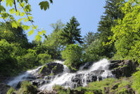 Todtnauer Wasserfall