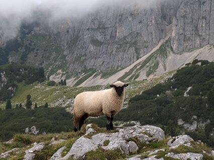 Foto von Ingrid Weinberger entlang der Tour