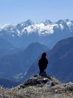 Foto de Günther Forsthuber a lo largo del recorrido