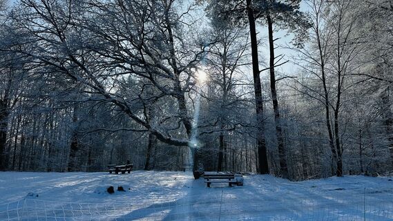 Photo de Diva63 le long du parcours