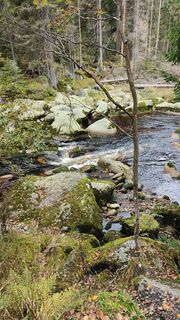 Zdjęcie z Čestmír Sivek wzdłuż trasy